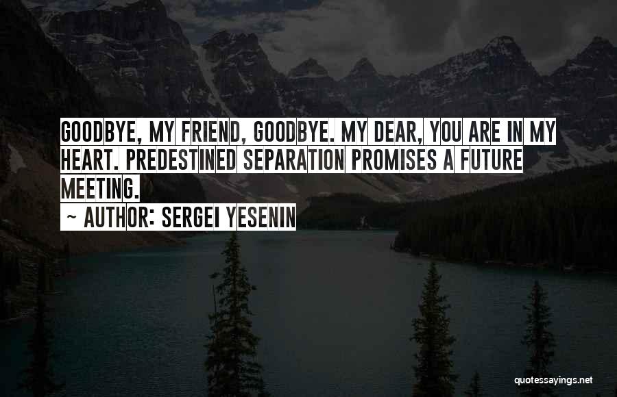Goodbye To A Friend Quotes By Sergei Yesenin