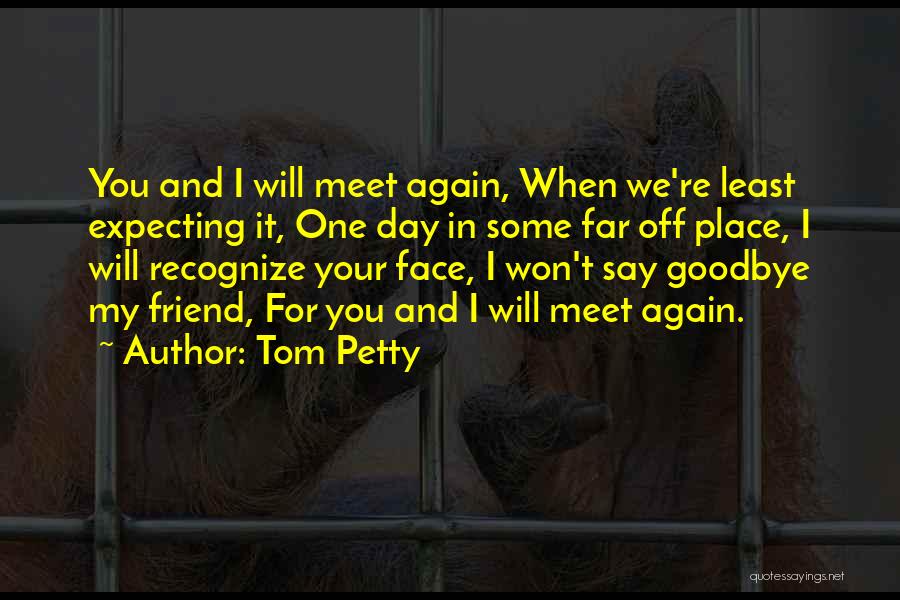 Goodbye To A Friend Quotes By Tom Petty