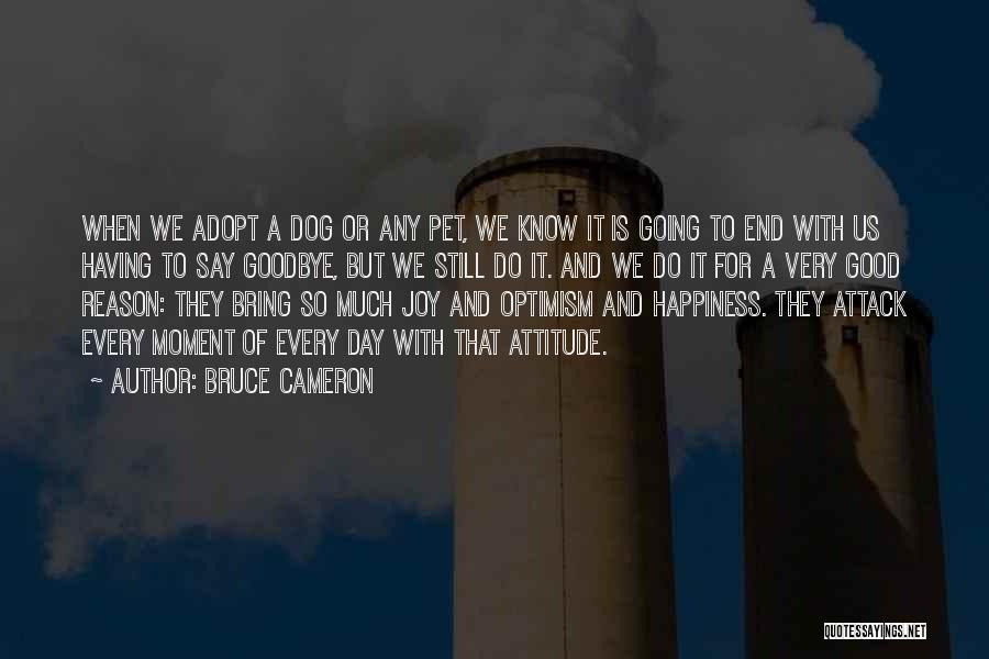 Goodbye To My Dog Quotes By Bruce Cameron