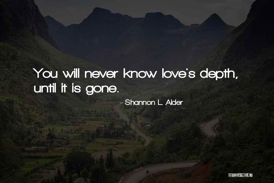 Goodbyes For Now Quotes By Shannon L. Alder