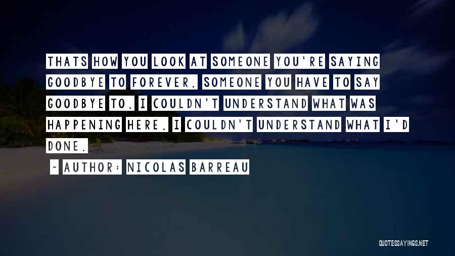 Goodbye's Not Forever Quotes By Nicolas Barreau