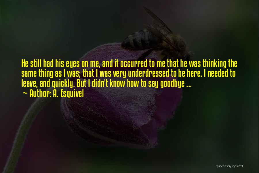 Goodbyes Quotes By A. Esquivel