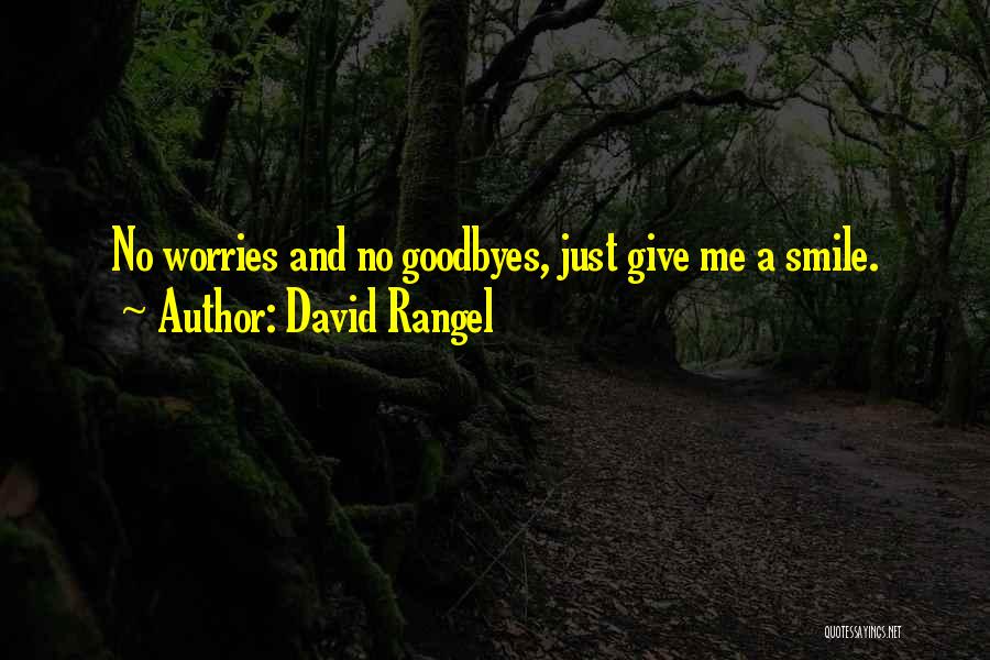 Goodbyes Quotes By David Rangel