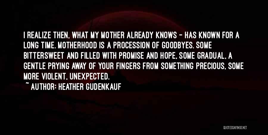 Goodbyes Quotes By Heather Gudenkauf