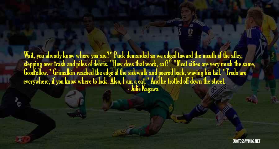Goodfellow And Co Quotes By Julie Kagawa Goodfellow And Co Quotes By Julie Kagawa