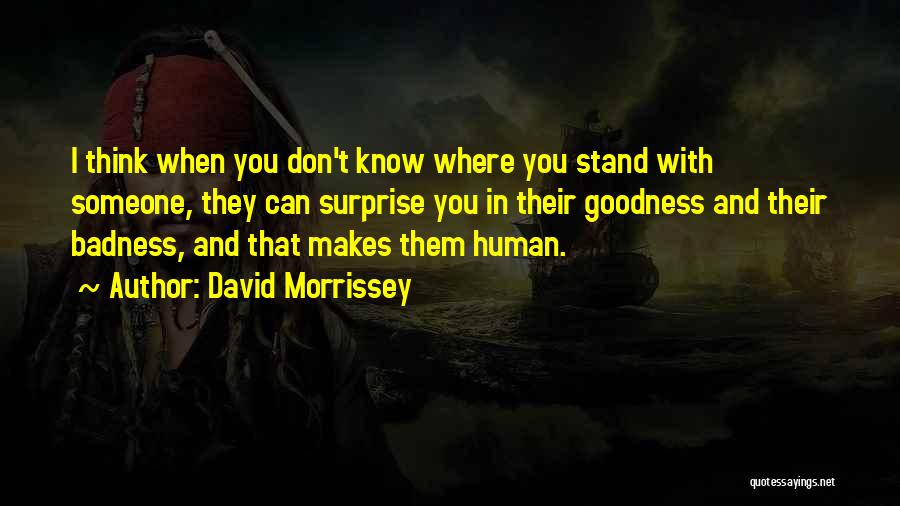 Goodness And Badness Quotes By David Morrissey