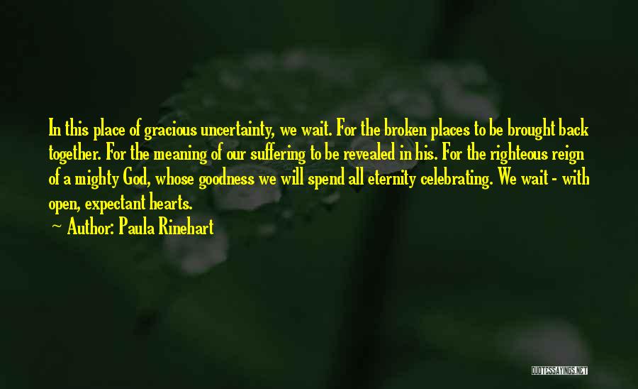 Goodness Gracious Quotes By Paula Rinehart