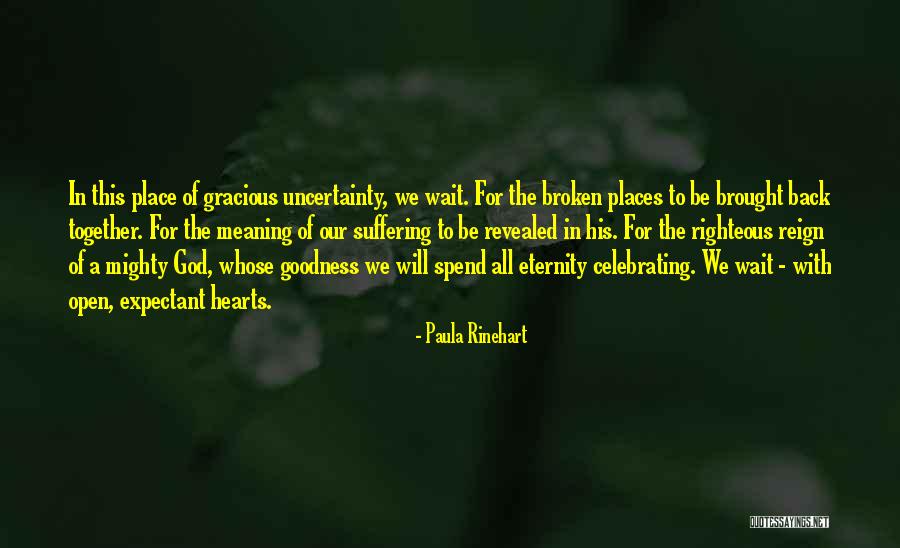 Goodness Gracious Quotes By Paula Rinehart