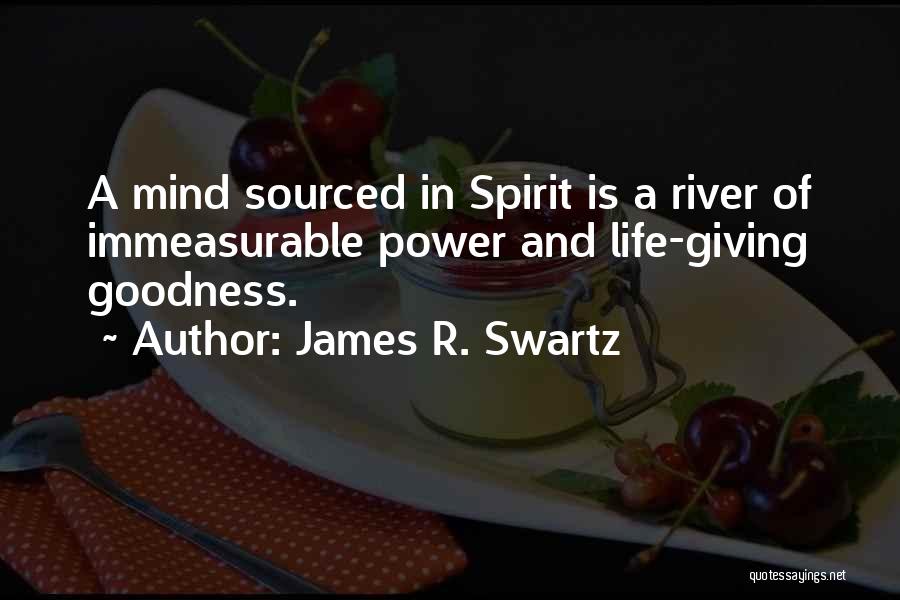 Goodness In Life Quotes By James R. Swartz