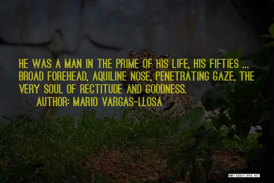 Goodness In Life Quotes By Mario Vargas-Llosa