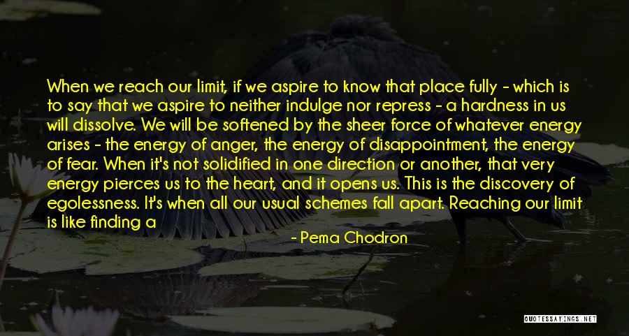 Goodness Of The Heart Quotes By Pema Chodron