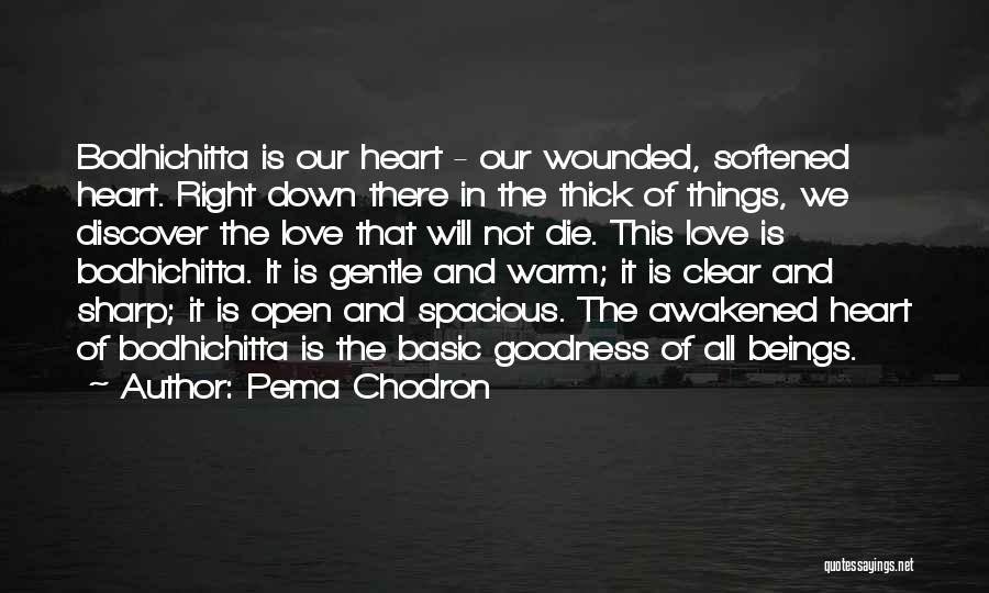 Goodness Of The Heart Quotes By Pema Chodron
