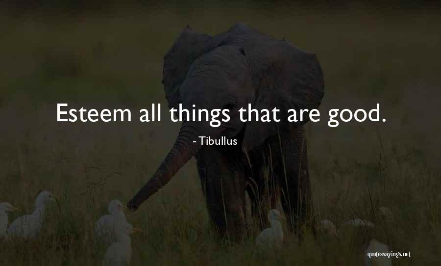 Goodnight My Princess Quotes By Tibullus Goodnight My Princess Quotes By Tibullus