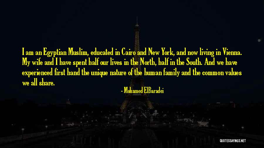 Google Data Studio Quotes By Mohamed ElBaradei Google Data Studio Quotes By Mohamed ElBaradei