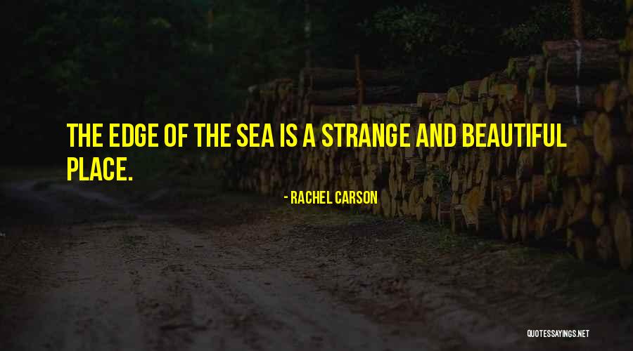 Googleda Sarmoyasiz Quotes By Rachel Carson