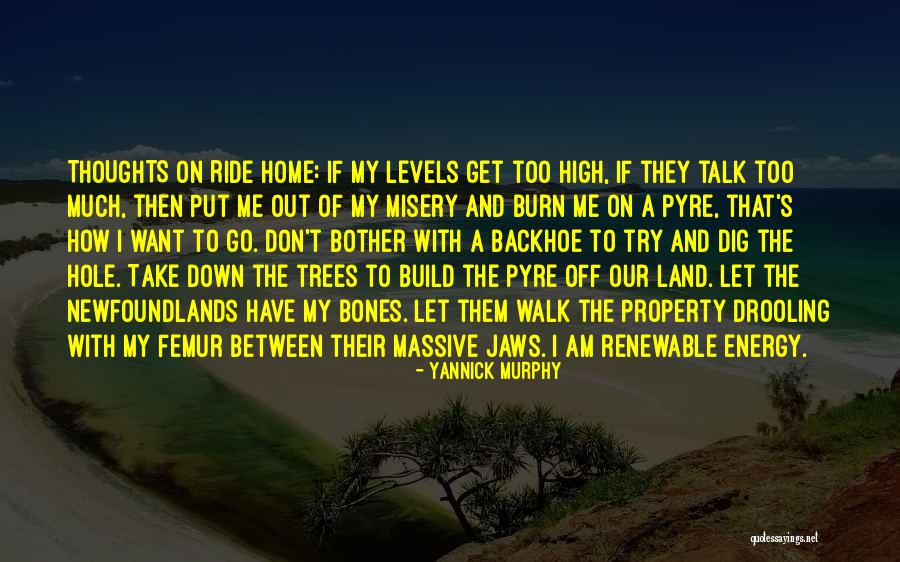 Googleplex Map Quotes By Yannick Murphy Googleplex Map Quotes By Yannick Murphy