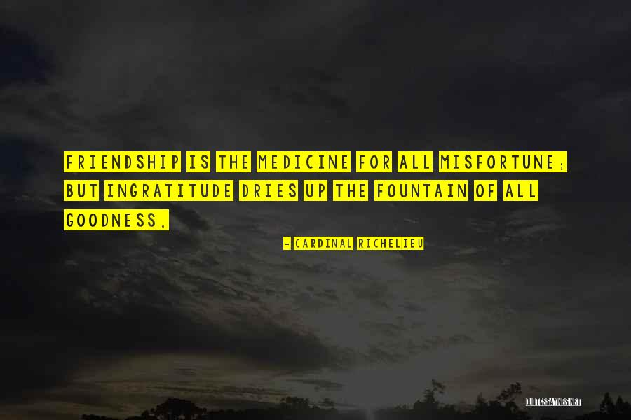 Goombays Quotes By Cardinal Richelieu Goombays Quotes By Cardinal Richelieu