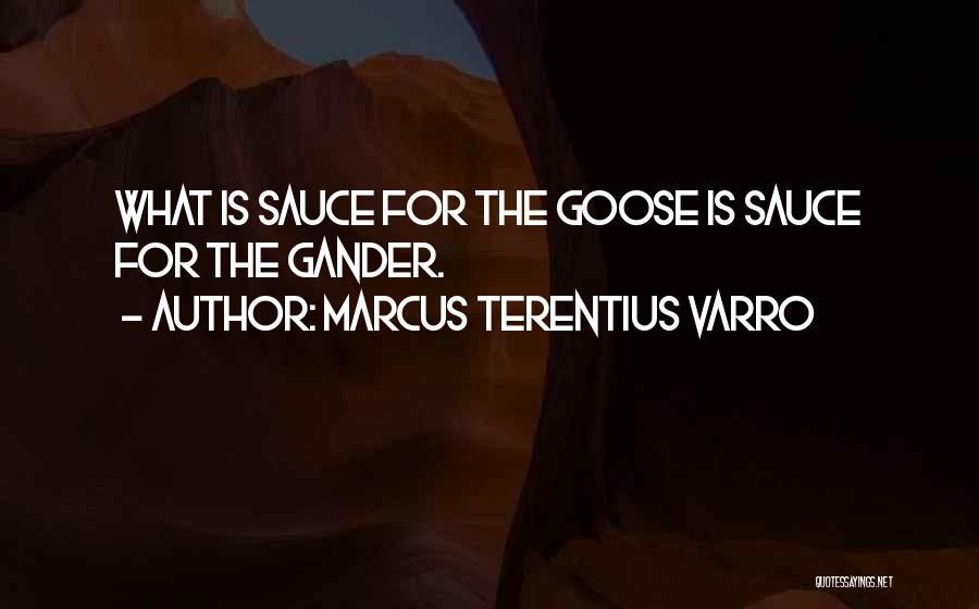 Goose And Gander Quotes By Marcus Terentius Varro