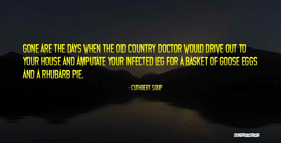 Goose Eggs Quotes By Cuthbert Soup