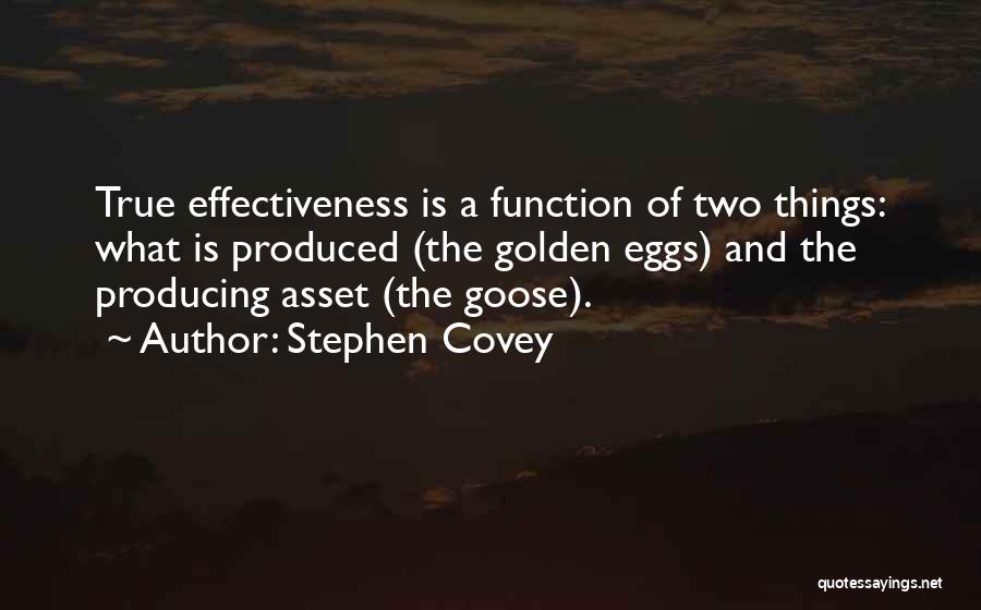 Goose Eggs Quotes By Stephen Covey