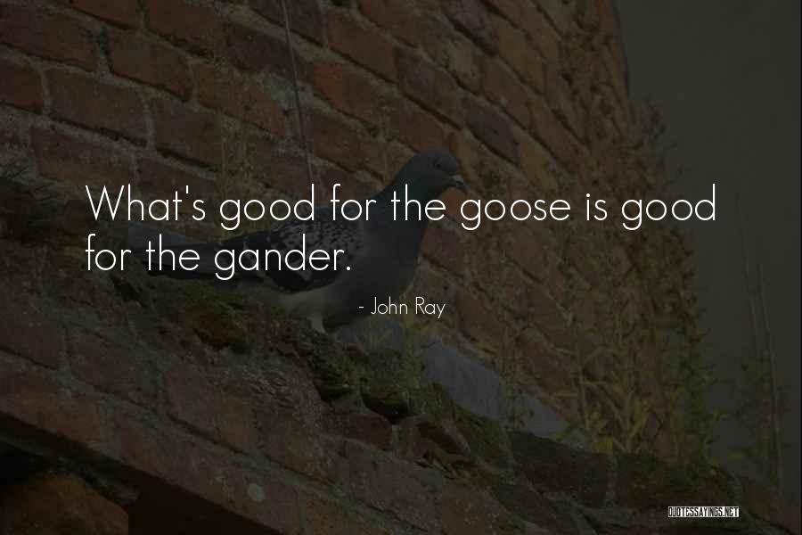 Goose Goose Gander Quotes By John Ray Goose Goose Gander Quotes By John Ray