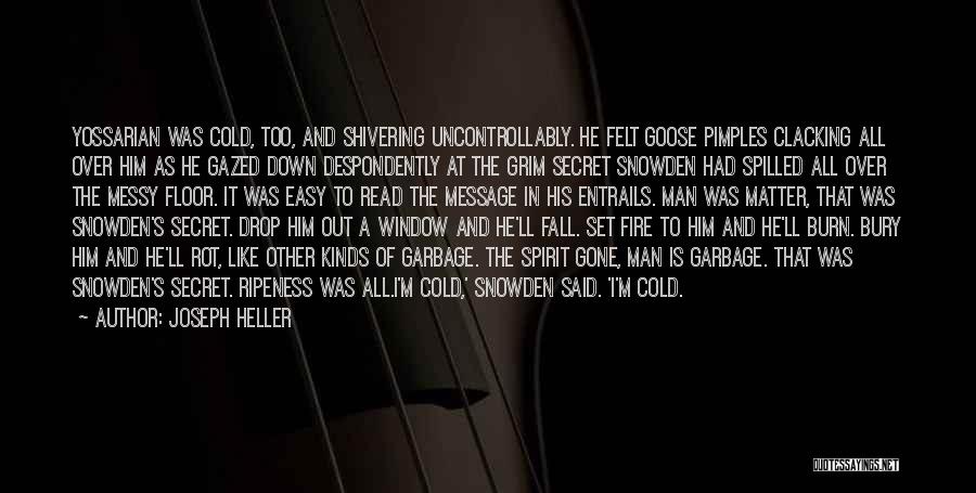 Goose Pimples Quotes By Joseph Heller Goose Pimples Quotes By Joseph Heller