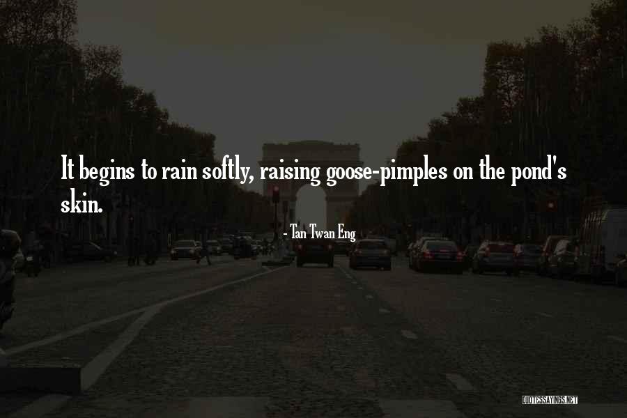 Goose Pimples Quotes By Tan Twan Eng