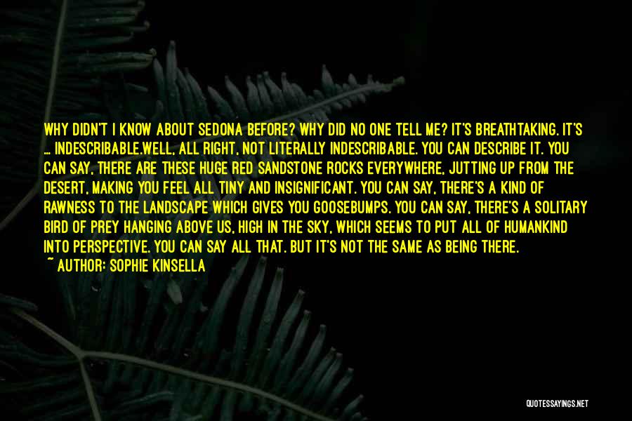 Goosebumps Quotes By Sophie Kinsella