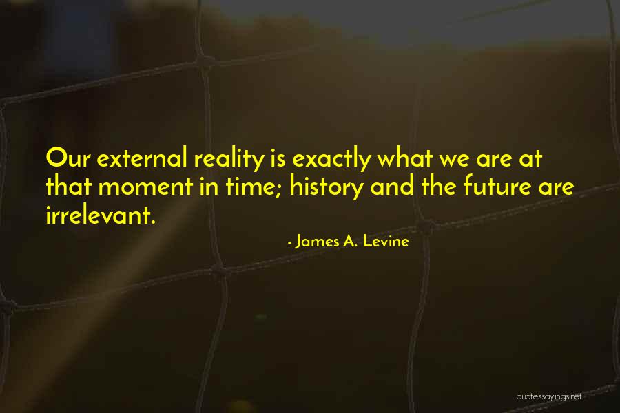 Gopalaswamy Ramesh Quotes By James A. Levine Gopalaswamy Ramesh Quotes By James A. Levine