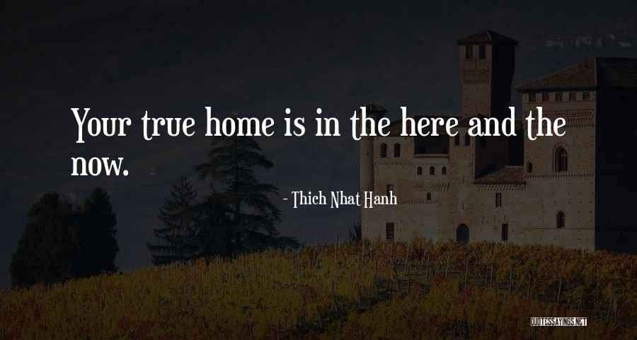 Gopher Like Stripes Quotes By Thich Nhat Hanh