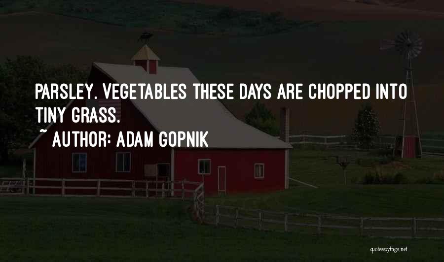 Gopnik Quotes By Adam Gopnik
