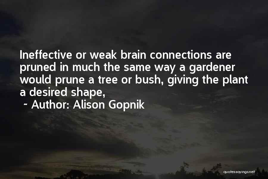 Gopnik Quotes By Alison Gopnik