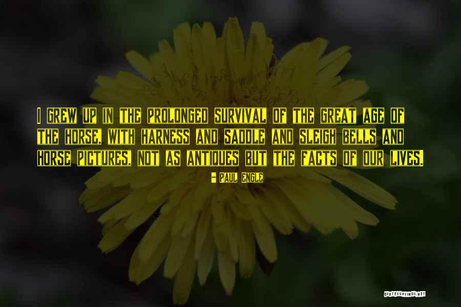 Goramstv Quotes By Paul Engle Goramstv Quotes By Paul Engle