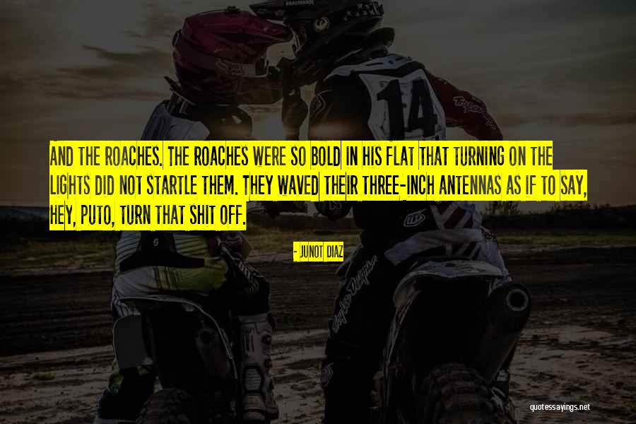 Gordils Willis Quotes By Junot Diaz Gordils Willis Quotes By Junot Diaz