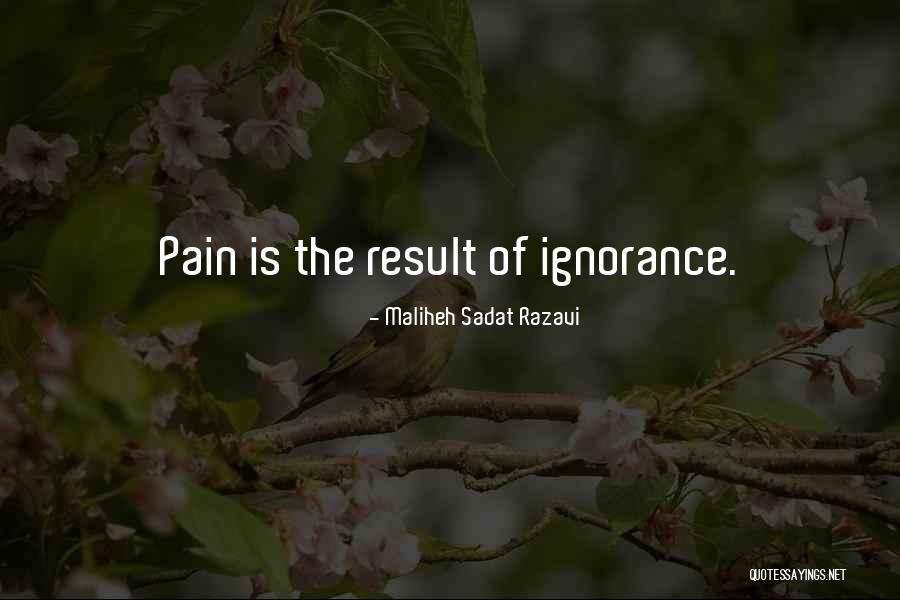 Gordimer And Stroessner Quotes By Maliheh Sadat Razavi