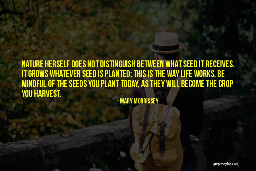 Gorence 4 5 Quotes By Mary Morrissey Gorence 4 5 Quotes By Mary Morrissey