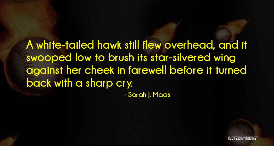 Gorence 4 5 Quotes By Sarah J. Maas Gorence 4 5 Quotes By Sarah J. Maas