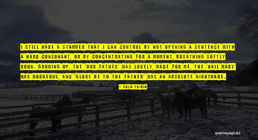 Gorgeous Sentence Quotes By Colm Toibin Gorgeous Sentence Quotes By Colm Toibin