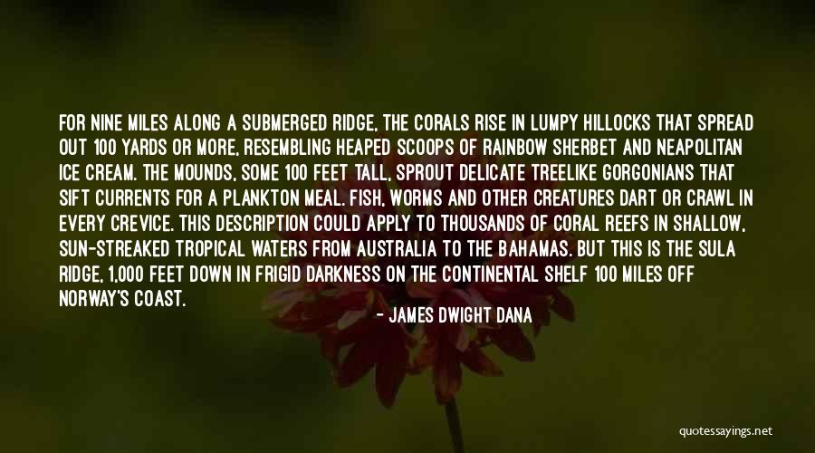 Gorgonians Quotes By James Dwight Dana Gorgonians Quotes By James Dwight Dana