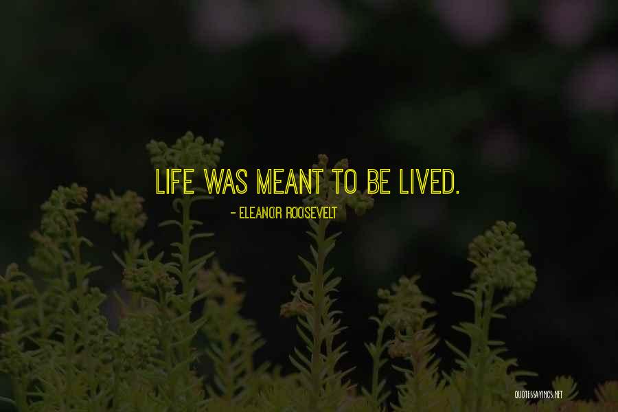 Gorgonio Diamond Quotes By Eleanor Roosevelt Gorgonio Diamond Quotes By Eleanor Roosevelt
