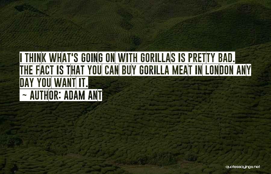 Gorillas Quotes By Adam Ant