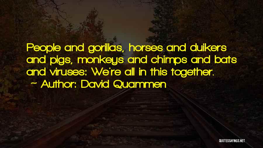 Gorillas Quotes By David Quammen