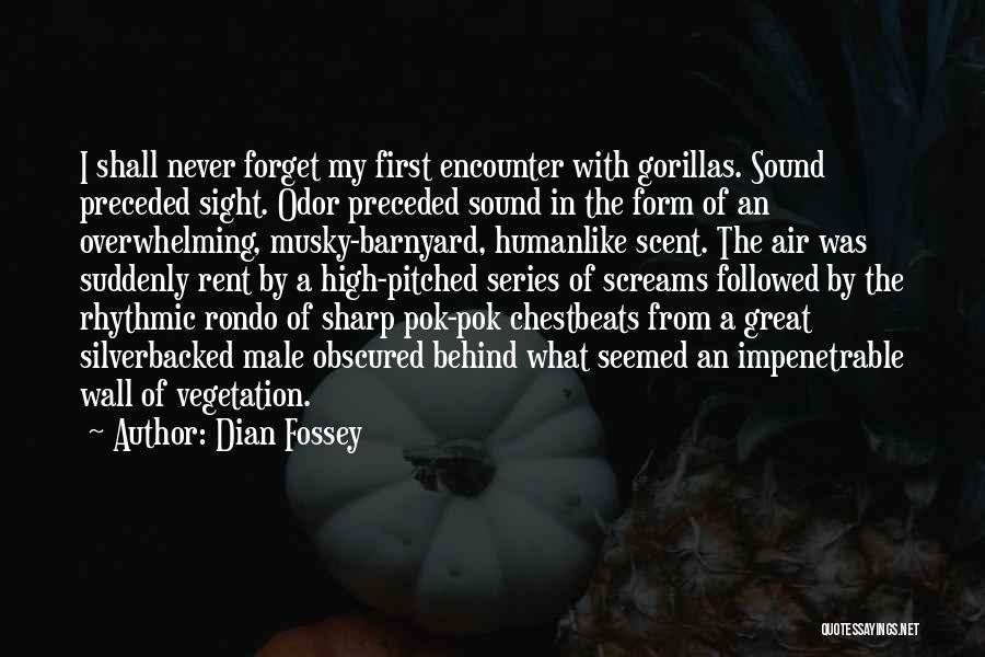 Gorillas Quotes By Dian Fossey