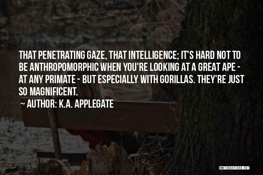 Gorillas Quotes By K.A. Applegate