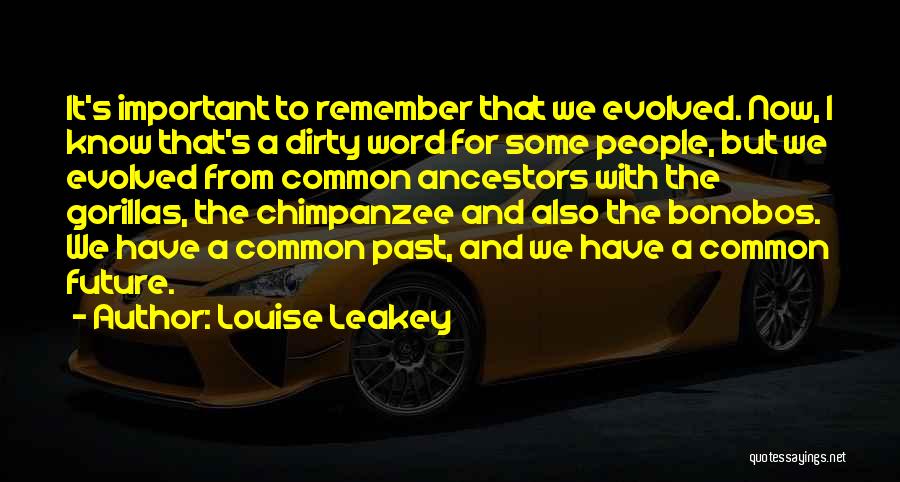 Gorillas Quotes By Louise Leakey