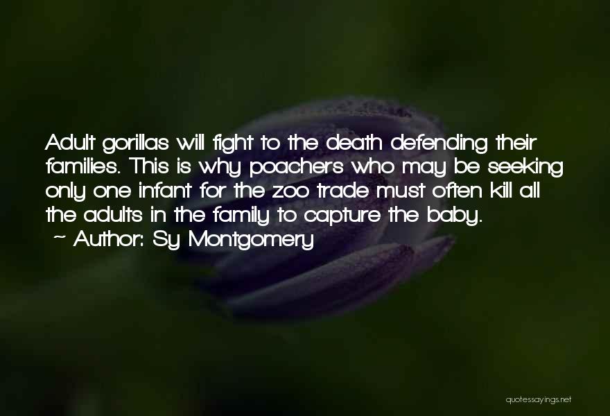 Gorillas Quotes By Sy Montgomery