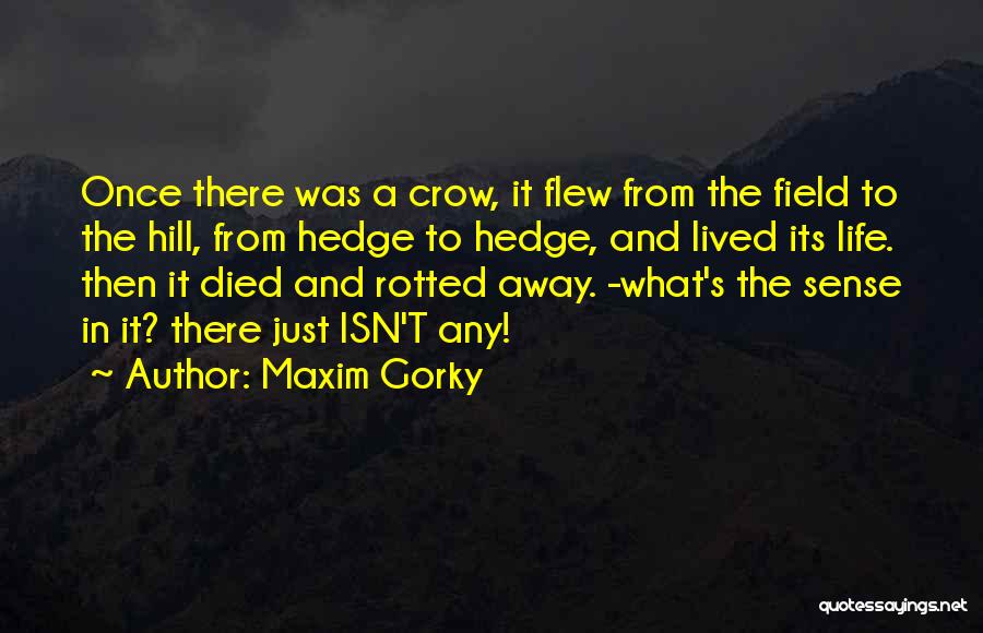 Gorky Maxim Quotes By Maxim Gorky