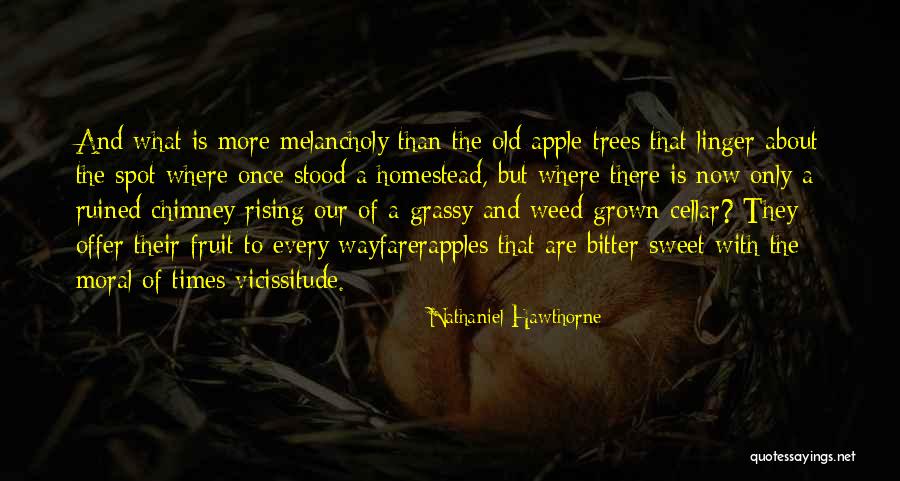 Gosch Toyota Quotes By Nathaniel Hawthorne Gosch Toyota Quotes By Nathaniel Hawthorne
