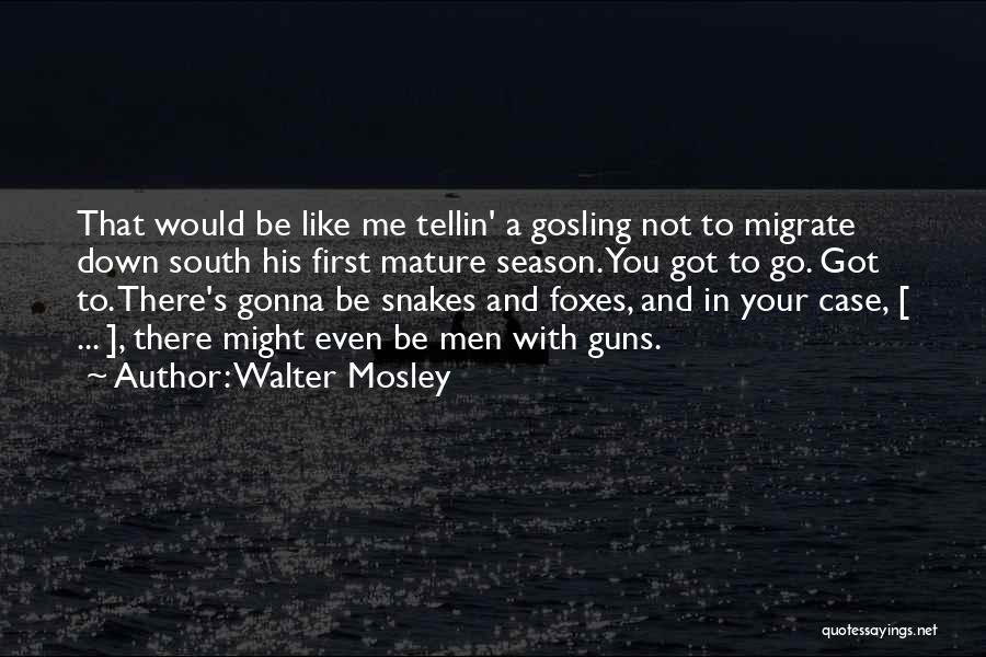 Gosling Quotes By Walter Mosley