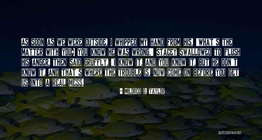 Gospodarica Srbija Quotes By Mildred D. Taylor Gospodarica Srbija Quotes By Mildred D. Taylor